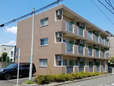 VIVA NAKAMATI