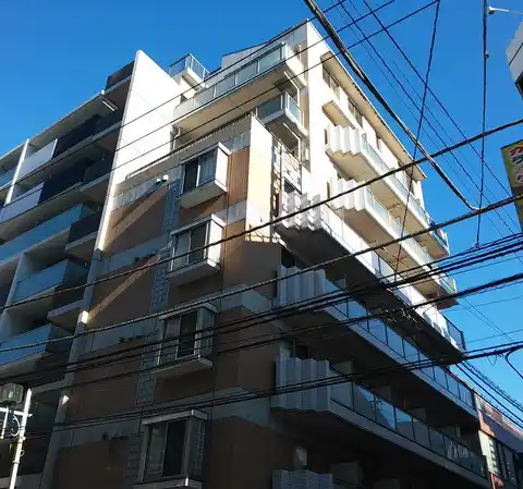 アドヴァンス・石雅