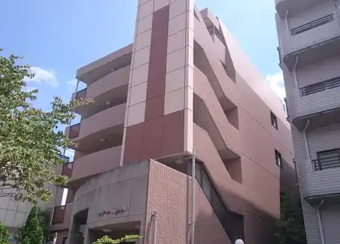 セルテーヌSUZUSHO