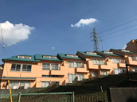 志幸3