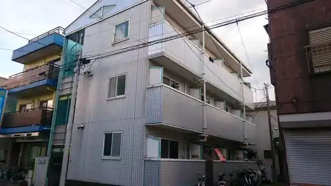 シルフィード蕨