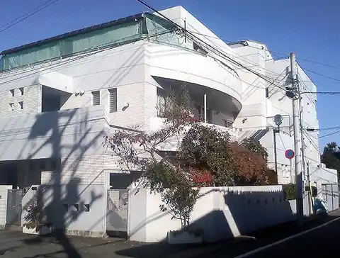 アルカニシハチ