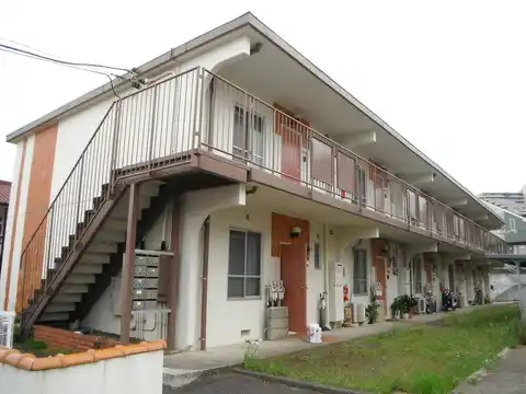 サンホワイト