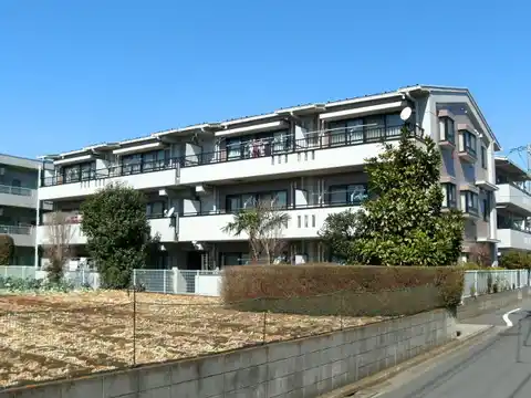 ハーネス真南風