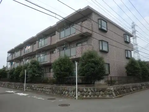 グラシューズカーサ