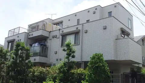 ティダマーレ国立