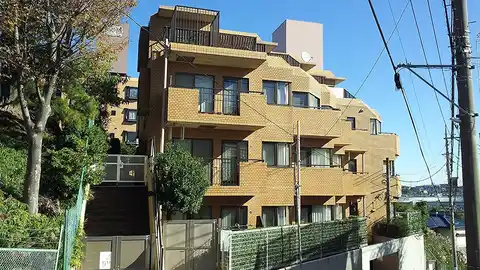 ルミネ藤が丘