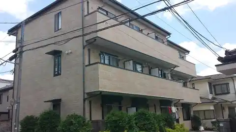 セレ プログレス