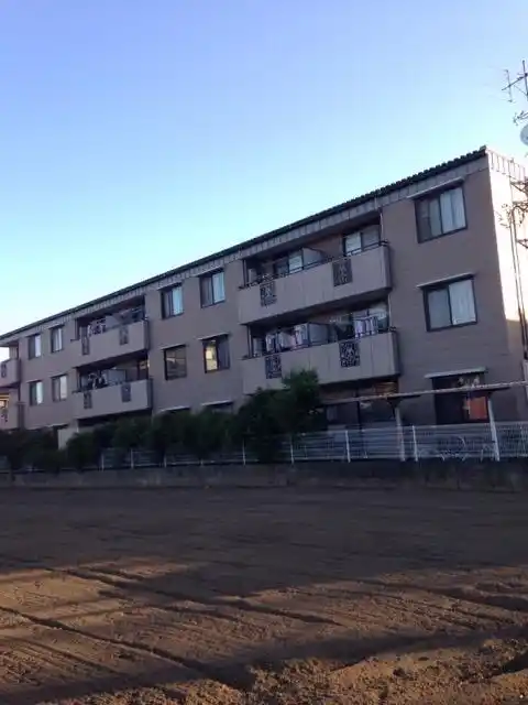 ヴァンベールライト