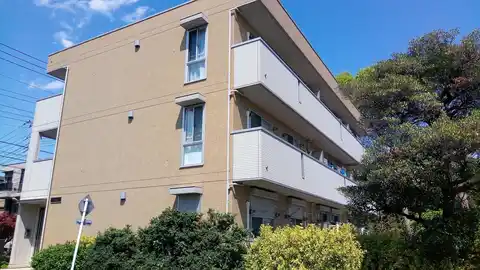 クレマチス