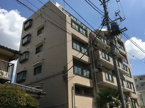 キャロット柏