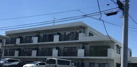 ニューライフ