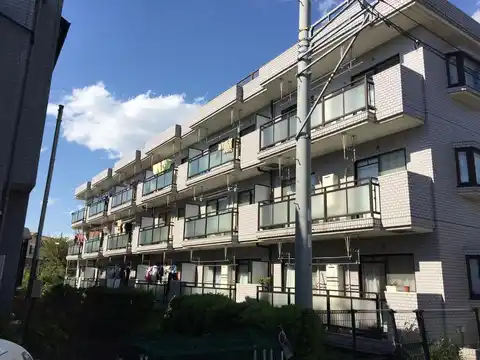 ペアフォレスト