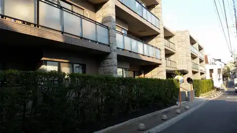 アデニウム大森山王