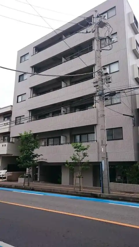 ラルゴ蕨
