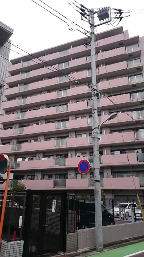 ルピナス蕨