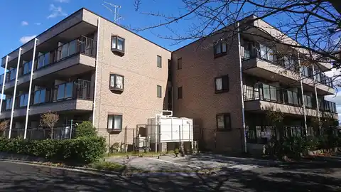 メイプル高品
