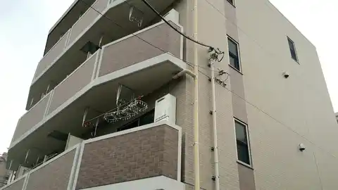 エル スール