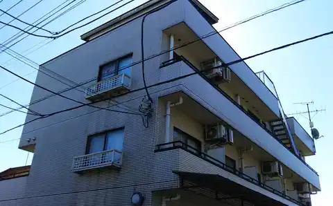 WAVE