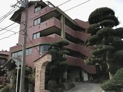 シャングリア丸太