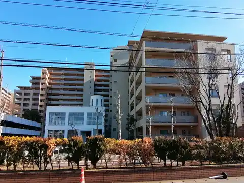 ルネ・アイクレール