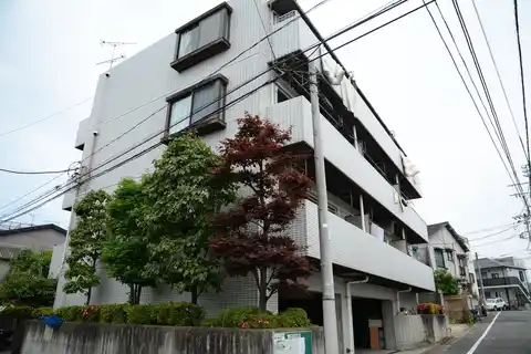 コージーハイツ