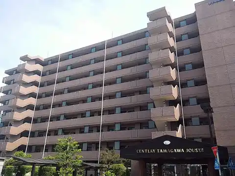 セントレー玉川上水