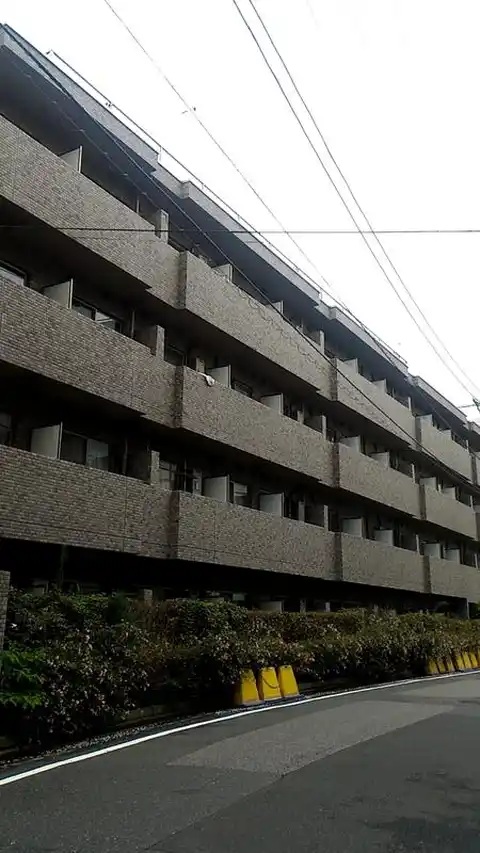 トーシンフェニックス目白