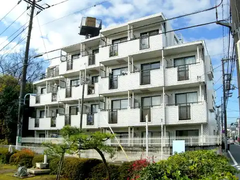 モンシェール桃井