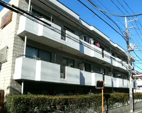 ローゼスコガネイ