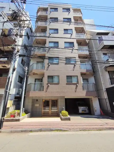 LeVentムサシコスギ