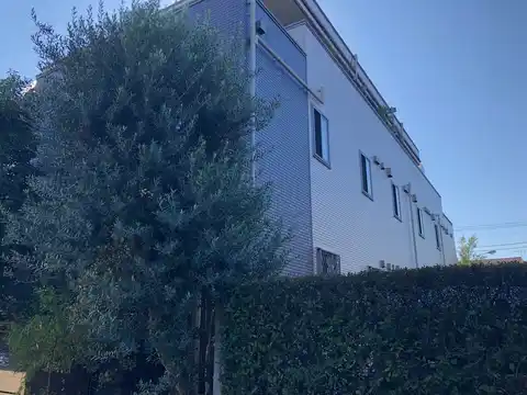 CASASION