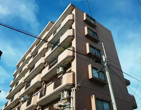 セザール第3矢向
