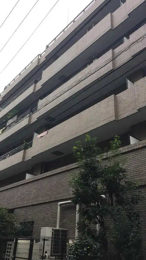エルマーナS&Y