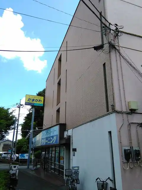 ピュアネスシャイン