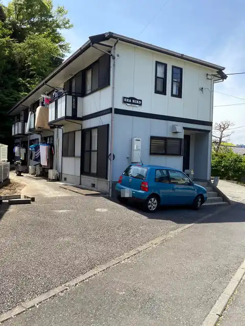 シーバード