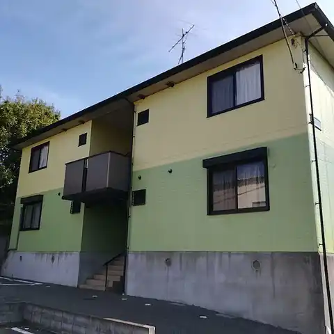コートビビット