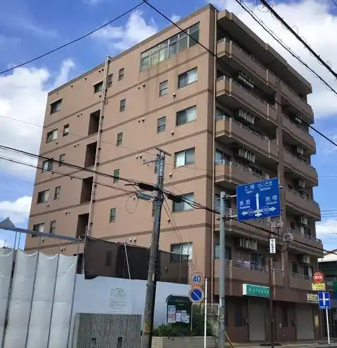 ロイヤルクマイ
