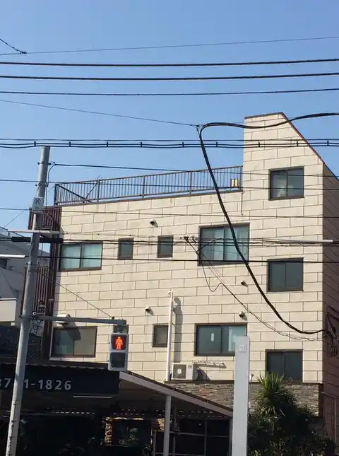 ベルヒ光