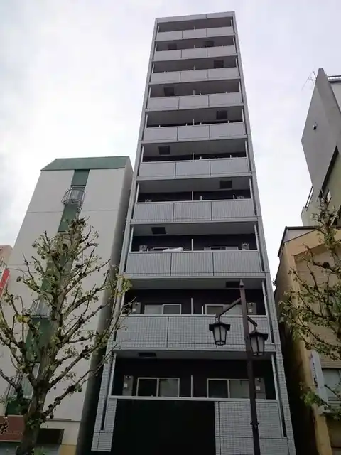 アヴィニティー両国