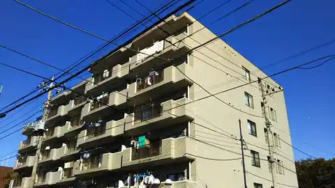 T.フラッツ