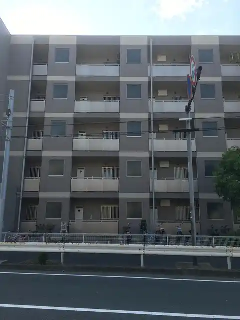 シグナス湘南