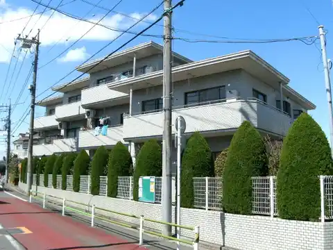 エクセル上さぎ