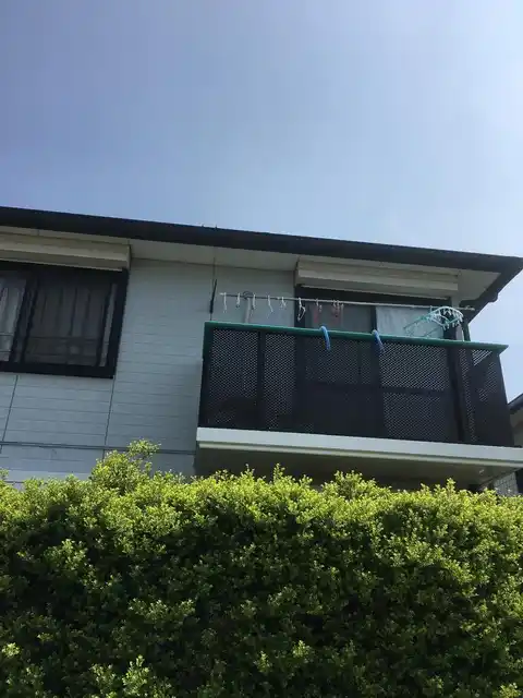 マーガレット湘南