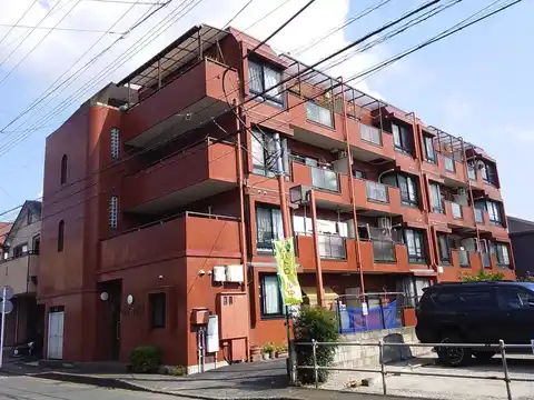 セザール大和
