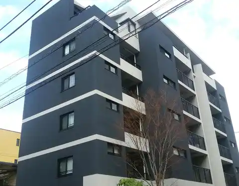 ツリーハウス