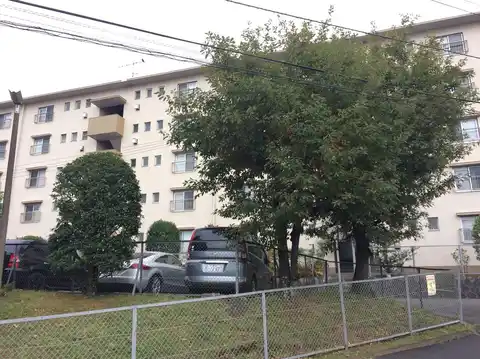 寺尾台団地8号棟