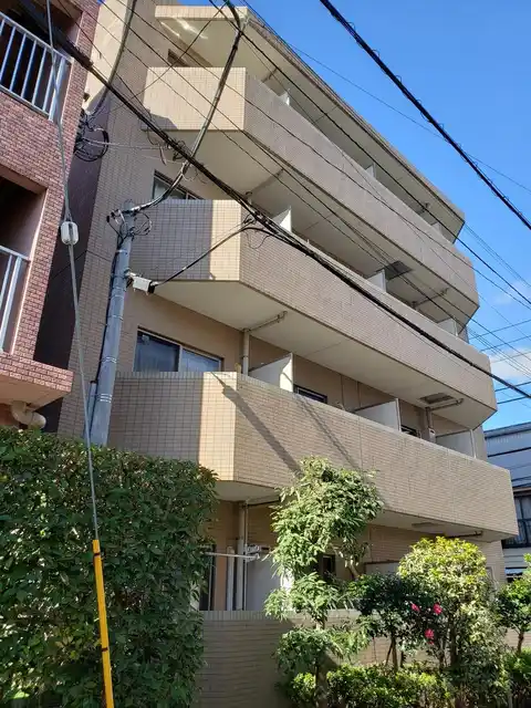 ステラ・新丸子