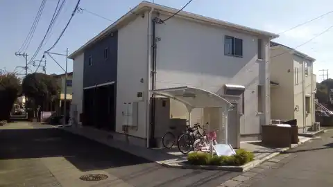 クリサンテーム