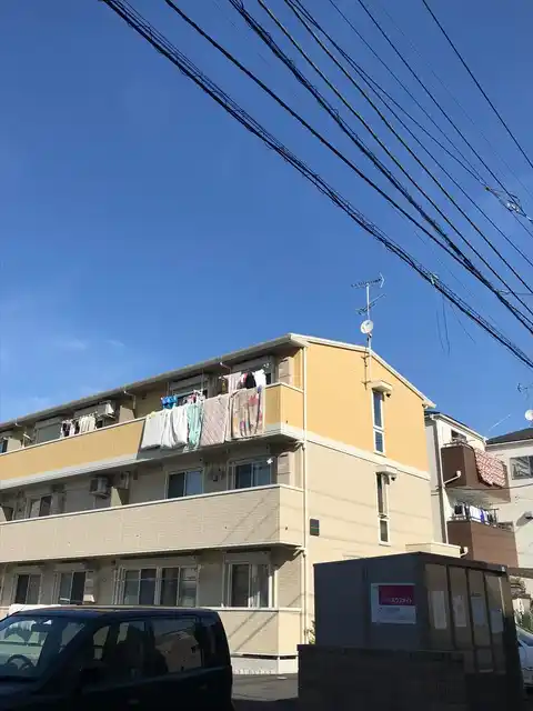 オレンジ